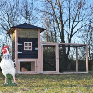 Het kippenhok Rosanne is een aanwinst voor uw tuin