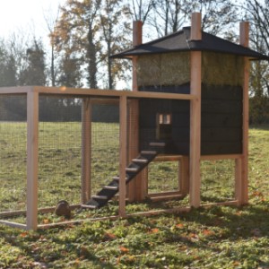 Een kijkje aan de achterkant van konijnenhok Rosalynn