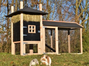Konijnenhok hooiberg Rosalynn met overdekte ren Douglas/zwart 283x114x180cm