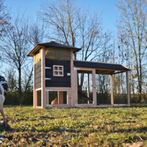 De hooiberg Rosanne is een aanwinst voor uw tuin