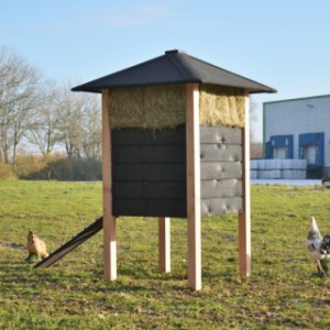 Het kippenhok Rosanne is deels gemaakt van zwart geïmpregneerd vurenhout