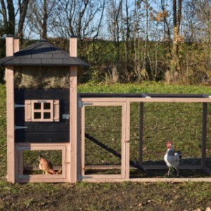 Het kippenhok Rosa is uitgebreid met een aanbouwren