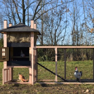 Het kippenhok Rosa is voorzien van ruime deuren