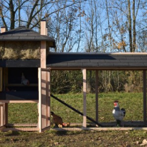 De hooiberg Rosa is voorzien van ruime deuren