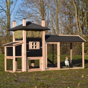 Kippenhok hooiberg Rosa met legnest en overdekte ren 303x114x182cm