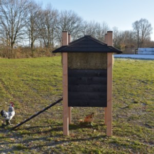 Het kippenhok is afgewerkt met Douglas palen van 9x9cm
