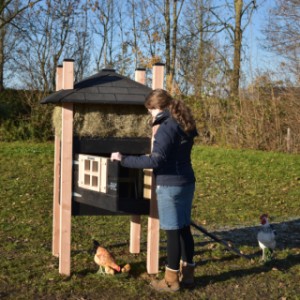 De hooiberg Rosa is geschikt voor kippen en konijnen