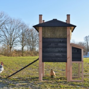 Een kijkje aan de achterkant van het kippenhok Rosa