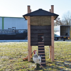 De hooiberg Rosa is geschikt voor kippen en konijnen