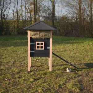 Het nachthok van konijnenhok Rosanne is voorzien van een raam