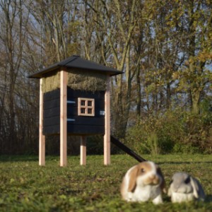De hooiberg Rosanne is geschikt voor 2 tot 4 konijnen