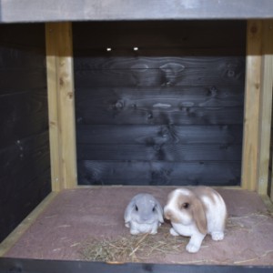 Het konijnenhok Rosanne is voorzien van een ruim nachthok