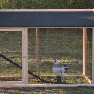 De aanbouwren is geschikt voor de hooibergen Rosa, Rosanne en Rosalynn