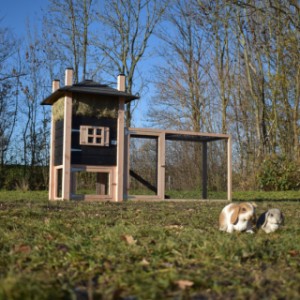 De hooiberg Rosa is geschikt voor 2 tot 4 konijnen