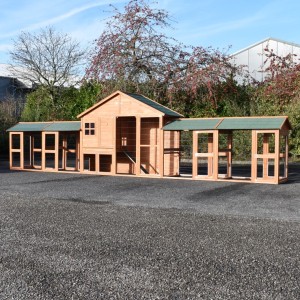 Kippenhok Holiday Large met 4 rennen 738x100x195cm
