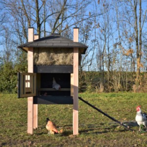 Door de ruime deur kan het nachthok makkelijk schoongemaakt worden