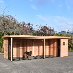 Hondenkennel Modul FORZ met nachthok 658x240x209cm