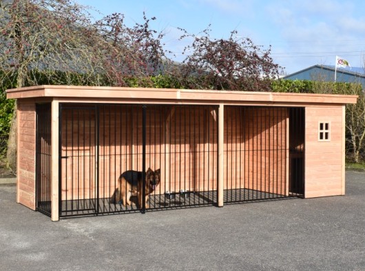 Hondenkennel Modul FORZ met nachthok 658x240x209cm