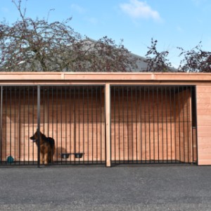 De kennel is voorzien van zwarte traliepanelen