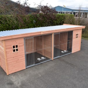 Deze grote hondenkennel biedt ruimte voor 2 honden