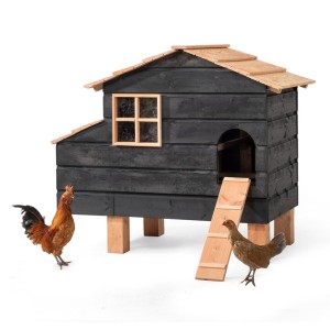 Kippenhok Harm Glorenza 127x73x110cm