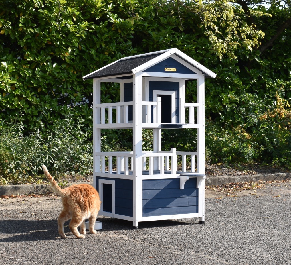 Kattenhuis Kitty