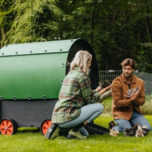 Nestera kippenhok Wagon Kunststof 139x177x139cm