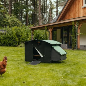 Nestera automatic opener