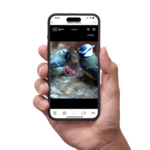 Bekijk wat de vogels doen via uw Nestera app!