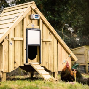 Automatische kippenhok opener Chickenguard Pro met zelfsluitende deur