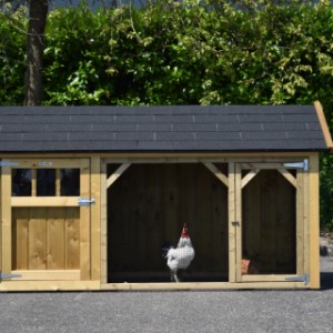 Het houten hok Belle is geschikt voor 5 tot 10 kippen