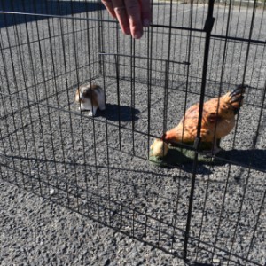 Dierenren Jacky - schuifluikje in de lange zijde