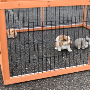De konijnenren Multirun is gemaakt van dennenhout
