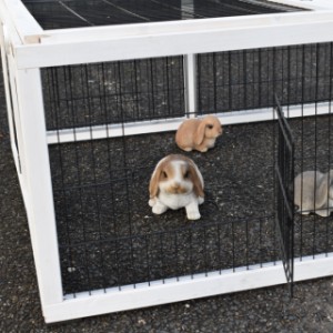 De Multirun is voorzien van 3 kleine gaasdeurtjes