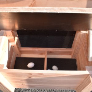 Met kippenhok Chicky wordt eitjes rapen gemakkelijk