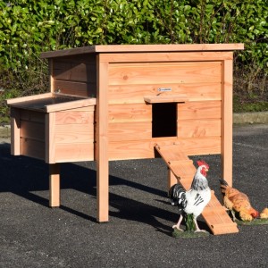 Kippenhok Chicky 2 met legnest Douglashout 144x84x125cm