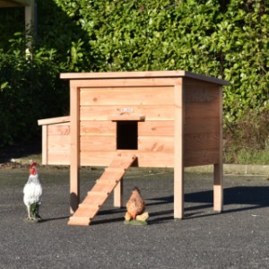 Kippenhok Chicky 2 met legnest Douglashout