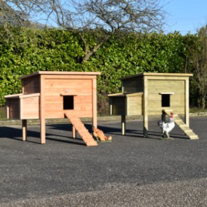 Kippenhok Chicky 2 met legnest Douglashout & geïmpregneerd vurenhout