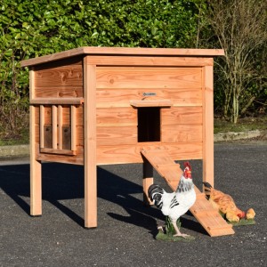 Kippenhok Chicky 2 Douglashout 116x84x125cm