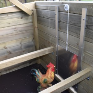 Kippenhok Chicky 2 Geïmpregneerd Vurenhout - schuifluik