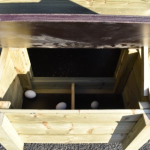 In het kippenhok Chicky 2 kun je makkelijk eitjes rapen