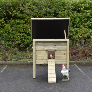 Het dak van kippenhok Chicky kan omhoog gezet worden met een steun