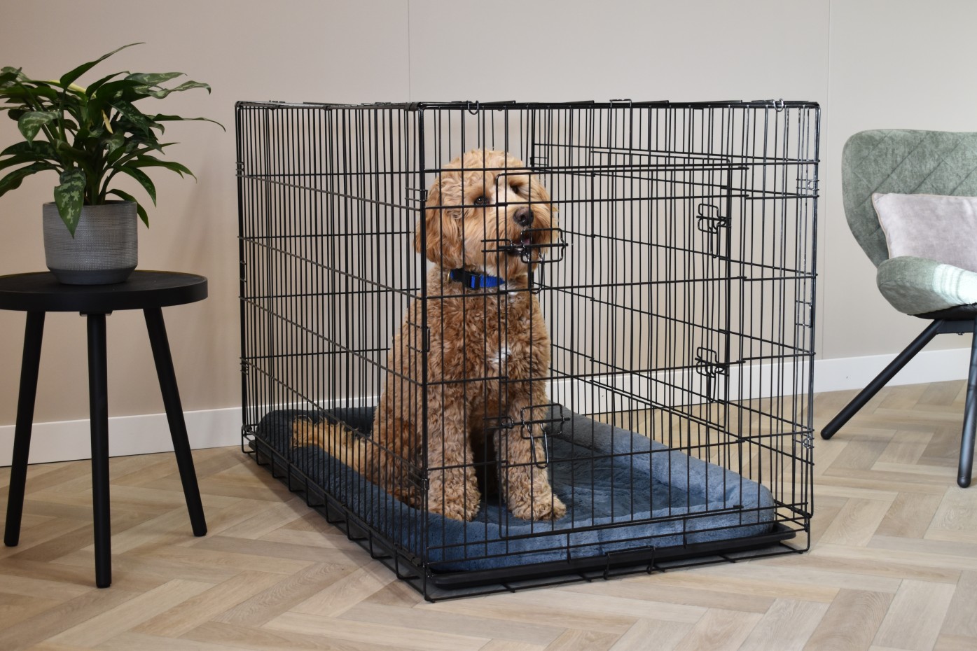 Hondenbench XXL - 122cm - Profit - met kussen