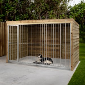 Hondenkennel Beer Voldux 316x208x196cm