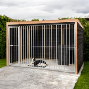 Hondenkennel Bodi Voldux 316x208x196cm