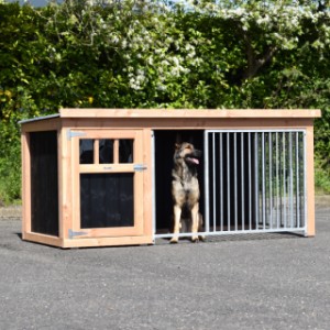 Hondenkennel Isabelle 2 - 242x122x113cm