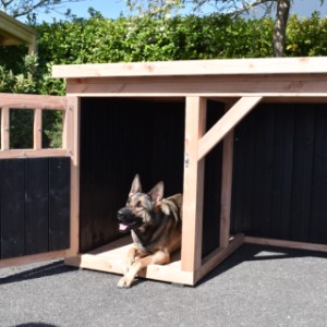 Hondenhok Isa 2 met veranda - voldoende ruimte in het nachthok voor een (middel)grote hond