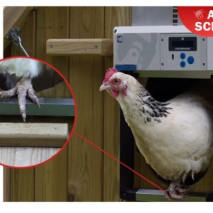 Chickenguard all-in-one