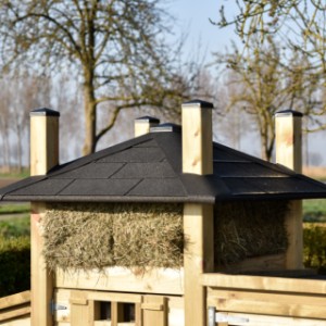 Het dak is voorzien van zwarte dakshingles