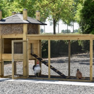 Het kippenhok Rosa en de ren zijn voorzien van ruime deuren